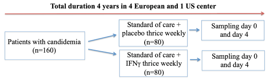 clinica-trials-duration